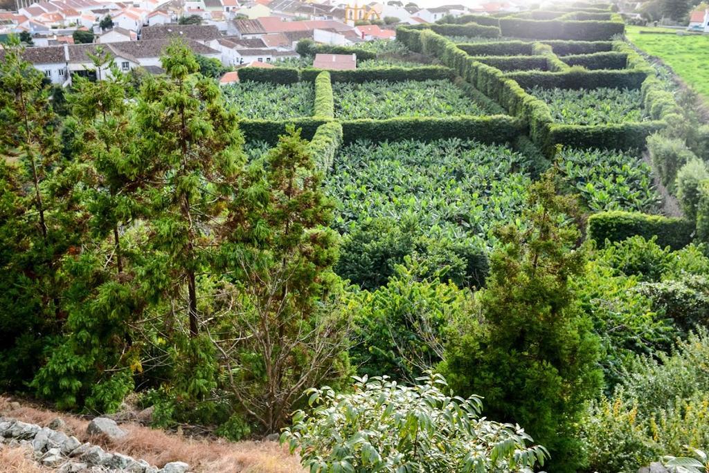 Hotel Quinta Amaro Al Angra do Heroísmo Exterior foto