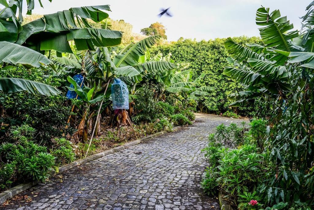 Hotel Quinta Amaro Al Angra do Heroísmo Exterior foto
